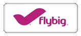 flybig