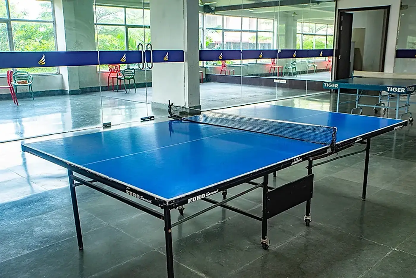 Table Tennis Arena