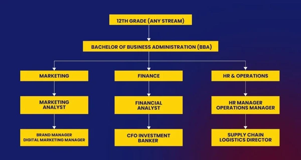 BBA Career Progress chart