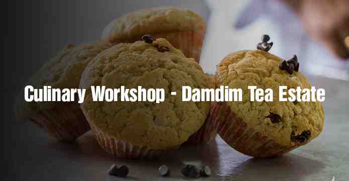 Culinary Workshop - Damdim Tea Estate - Malbazar, West Bengal
