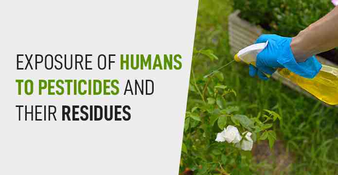 Exposure of humans to pesticides and their residues