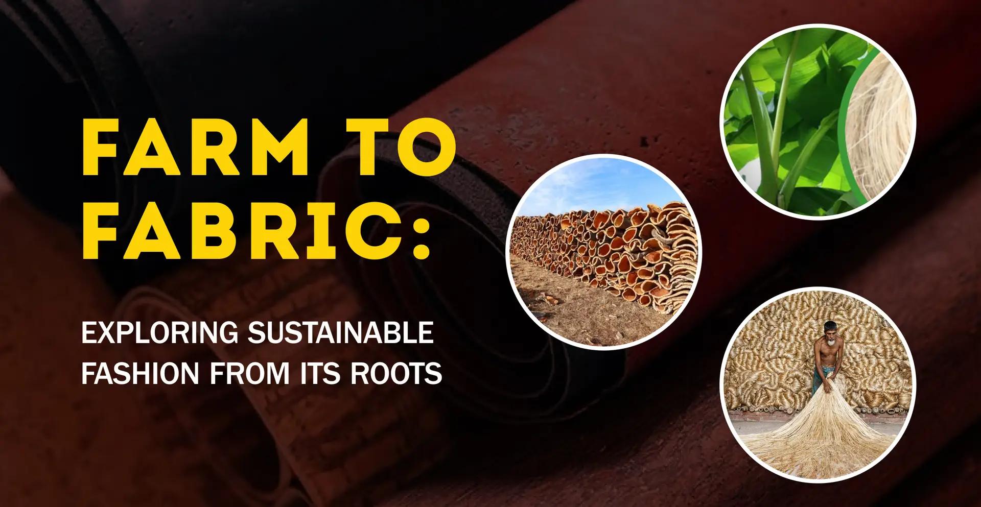 Farm to Fabric : Exploring Sustainable Fashion From its Roots