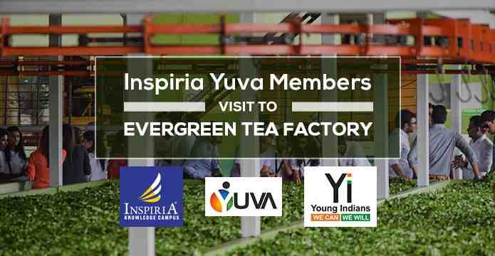 Inspiria Yuva Members visit to Evergreen Tea Factory