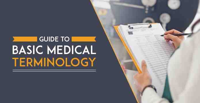 Your guide to basic medical terminology (2020)
