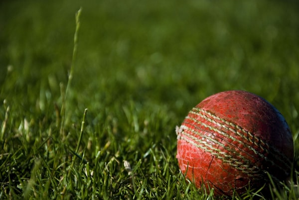 IKC's Alumni Cricket Cup 2.0