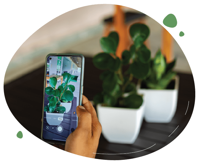 Capture your green space