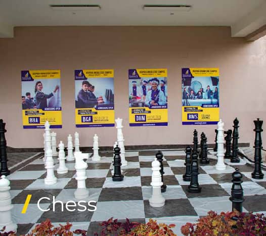 Chess