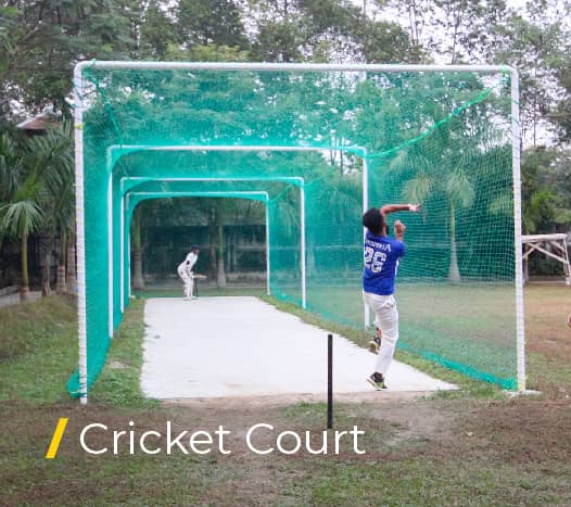 Cricket Court