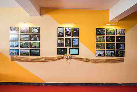 Inspiria Photowall 2