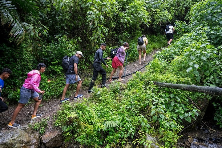 Guided morning hill hike on the trails near Siliguri
